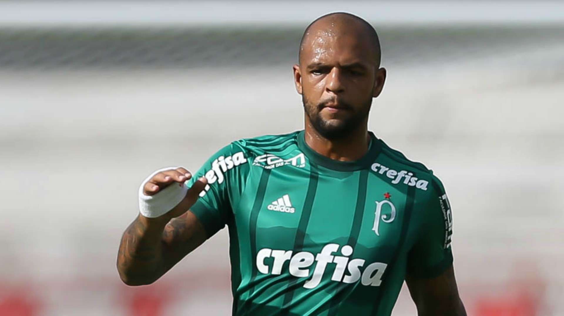 Felipe Melo Botafogo-SP Palmeiras Paulista 21012018