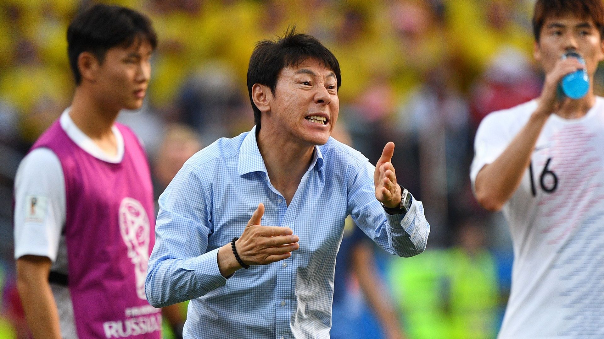 2018-06-19 Shin Tae-yong Korea