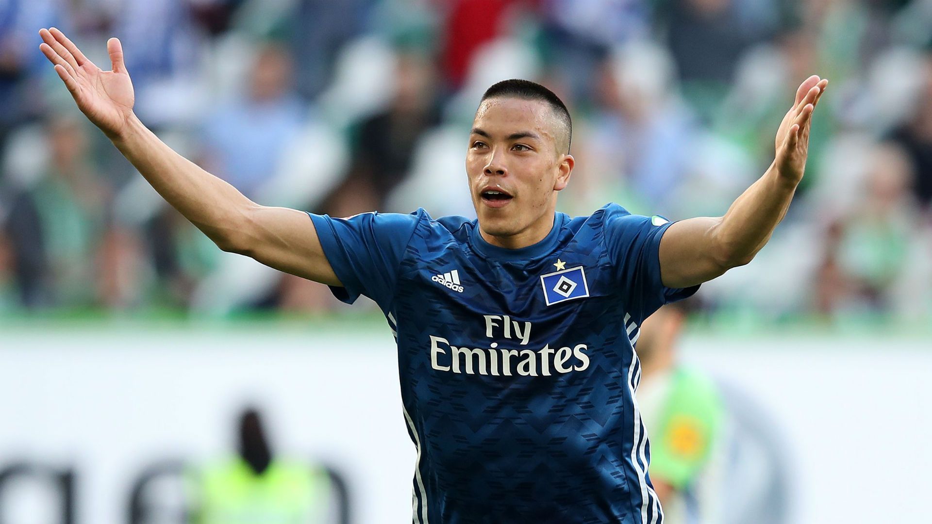 Bobby Wood Hamburg Wolfsburg Bundesliga