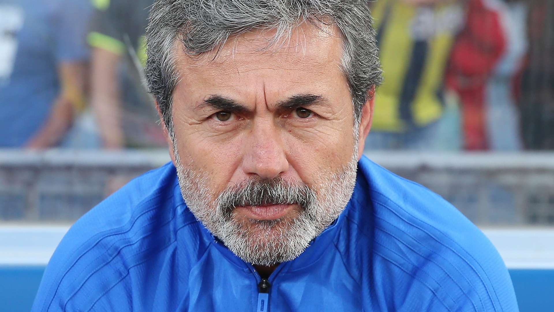 Aykut Kocaman Fenerbahce