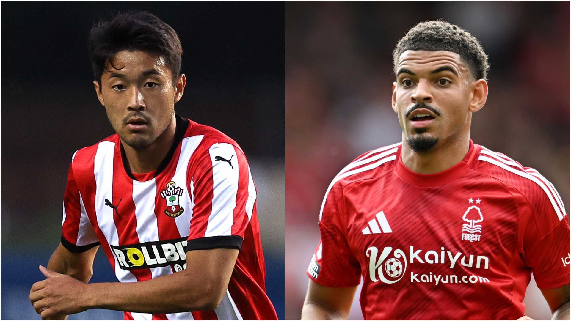 sugawara gibbs-white