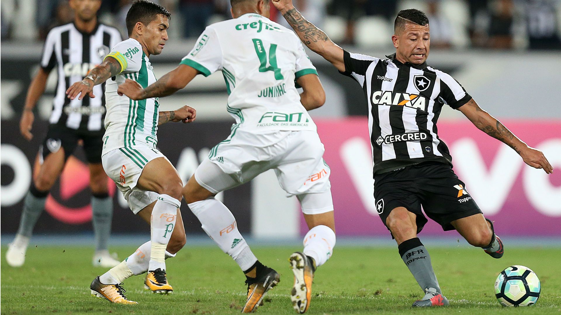 Leo Valencia Botafogo Palmeiras Brasileirão 03 08 2017