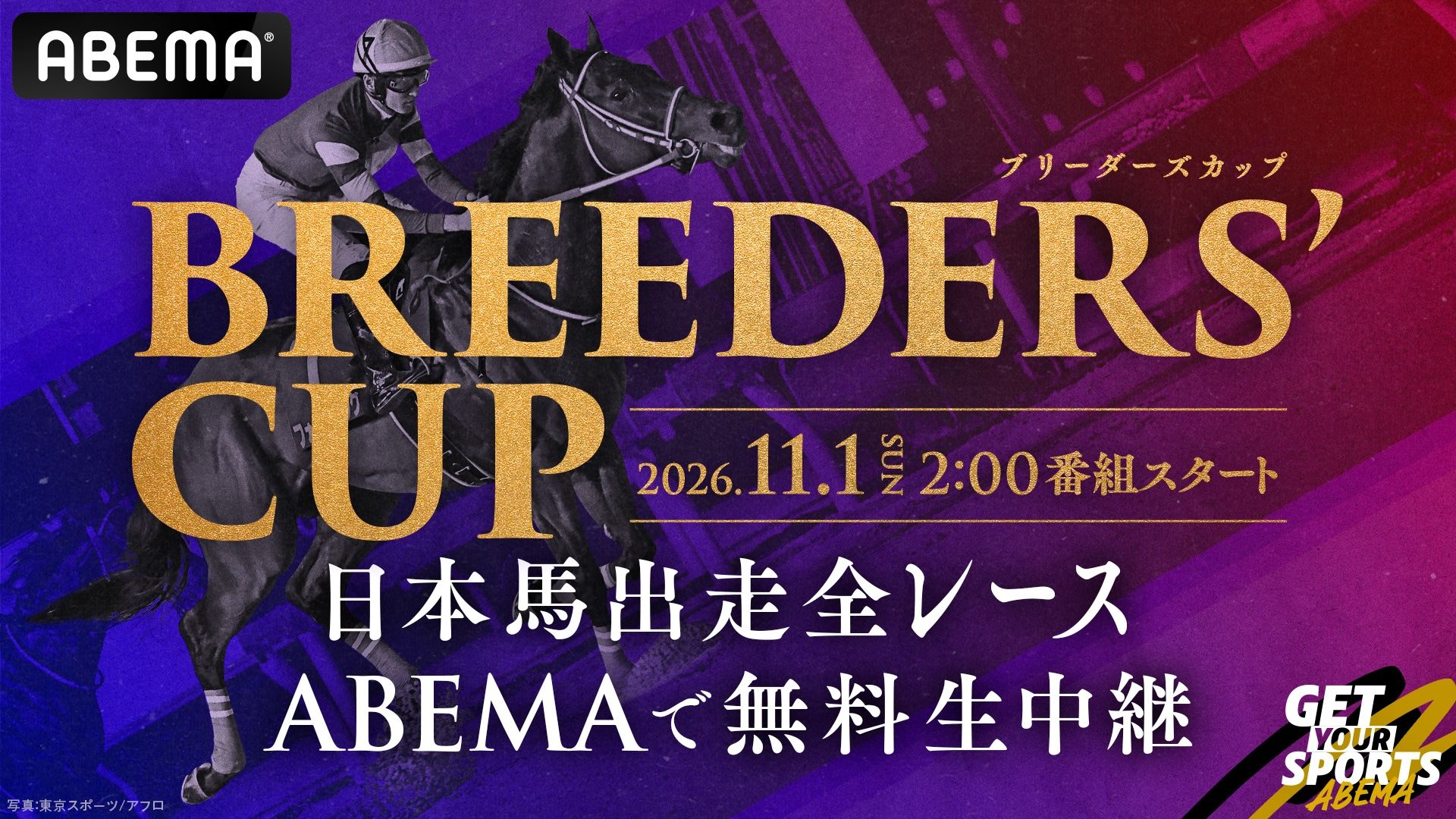 Breeder's Cup