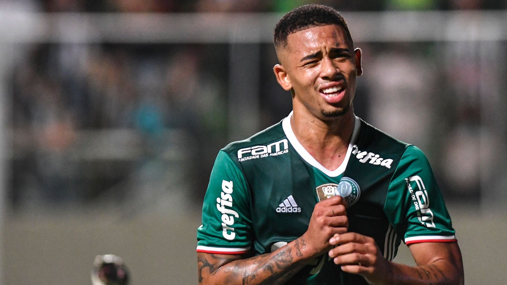 Gabriel Jesus Atlético-MG Palmeiras Brasileirão 17112016