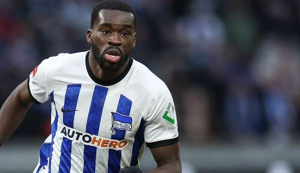 wilfried kanga hertha