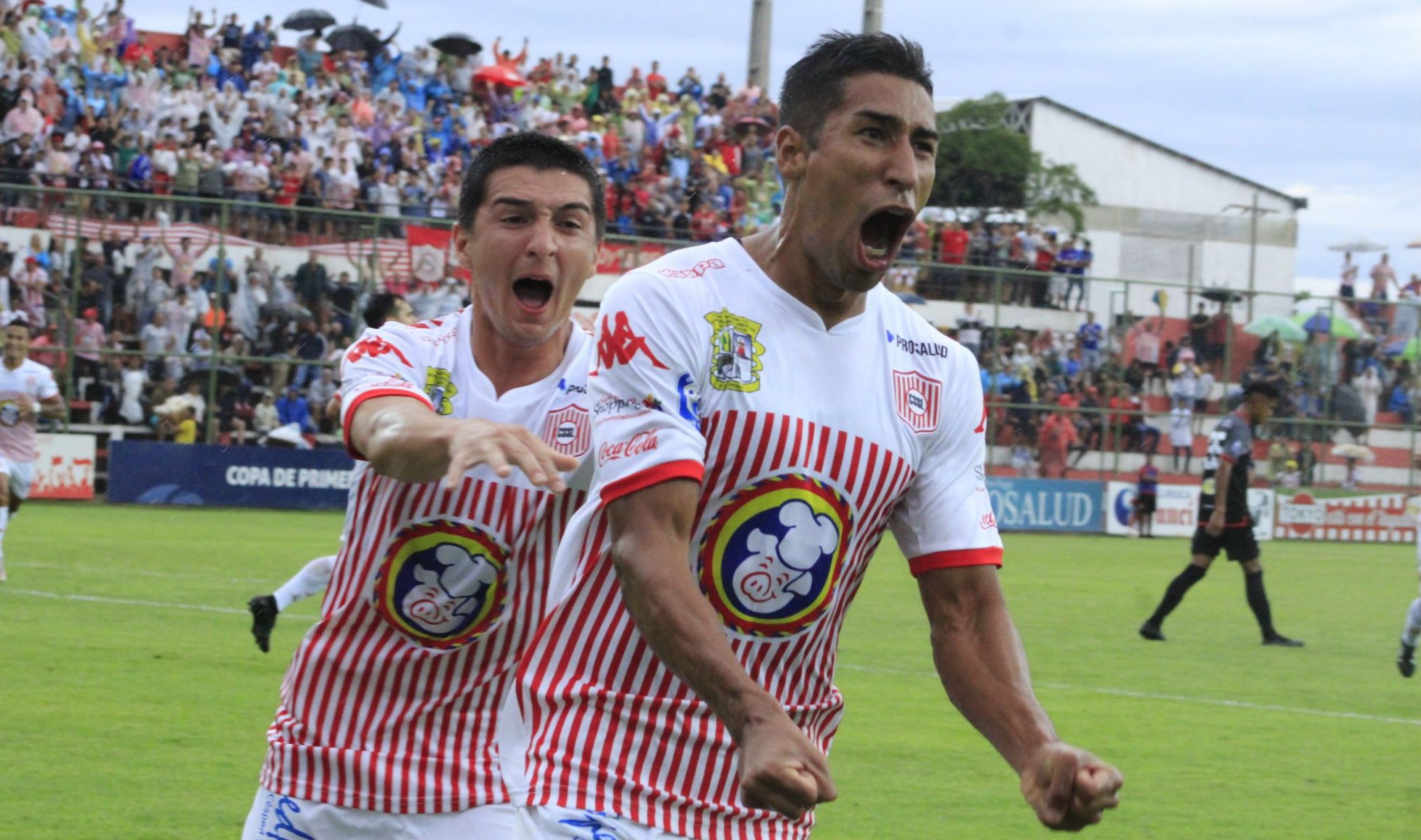 Rayadito Gol (Paraguay) 05-01-20