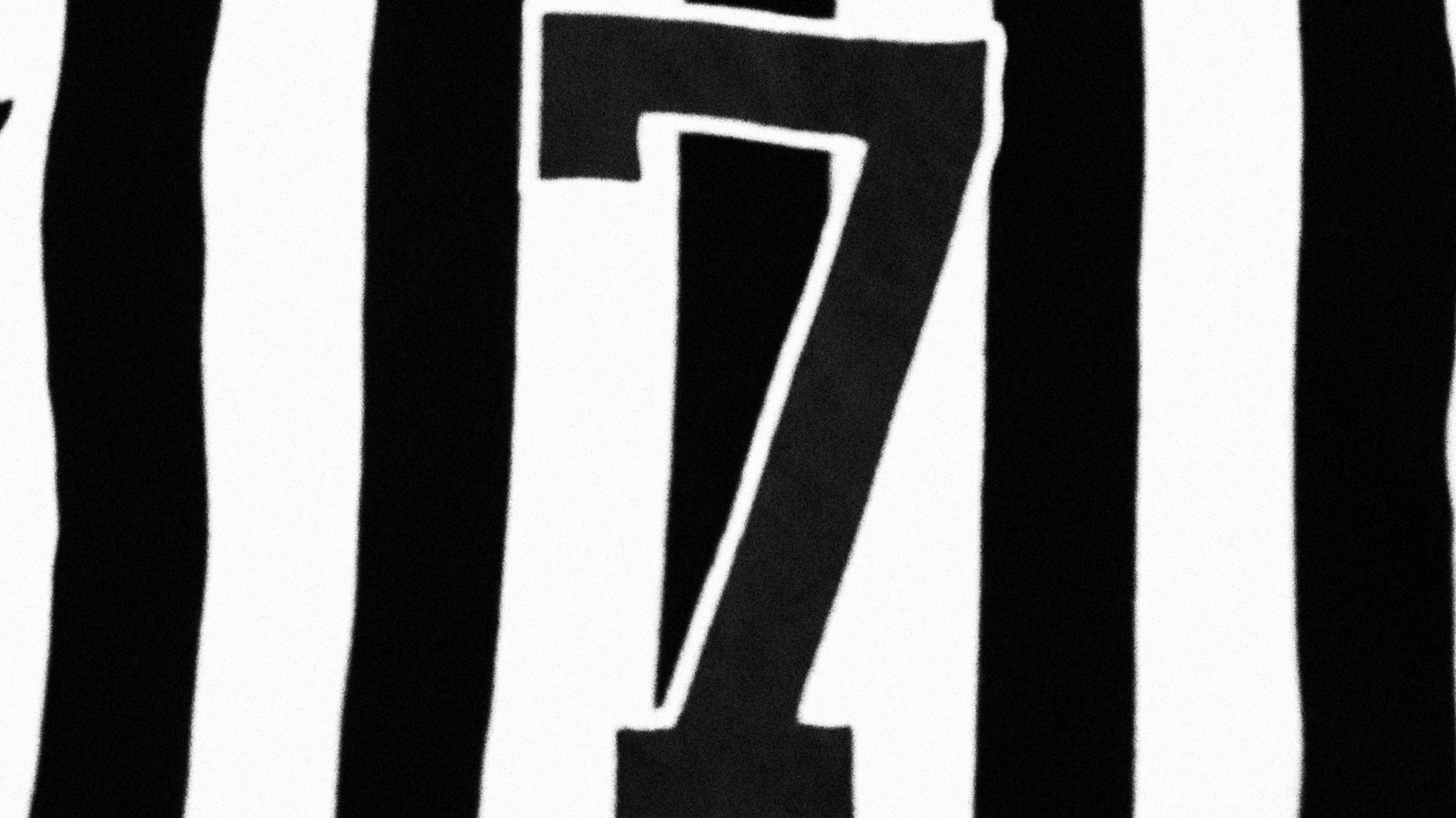 Botafogo camisa 7 Garrincha 28102015