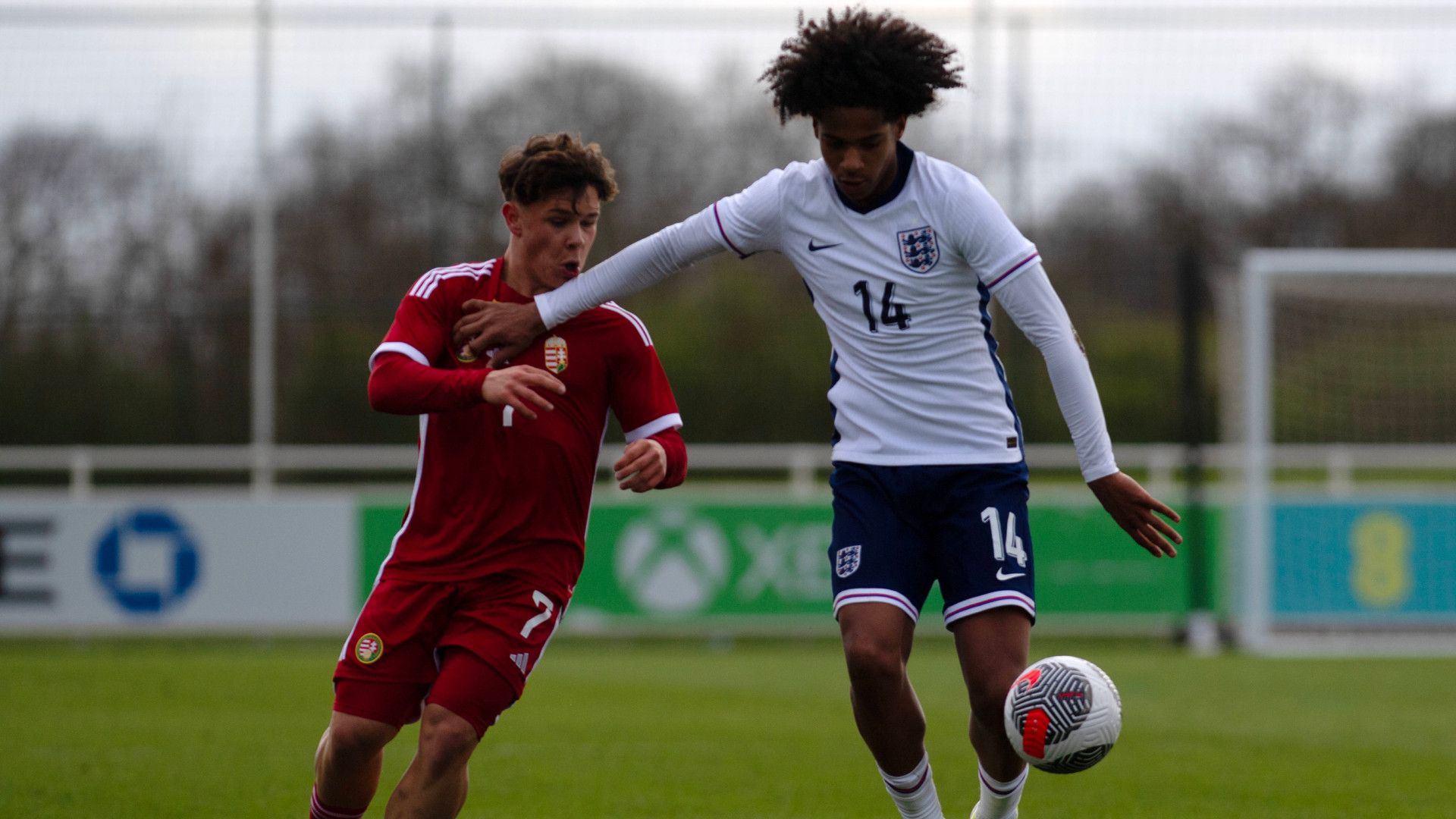 GERMANY ONLY: BAYLEE DIPEPA