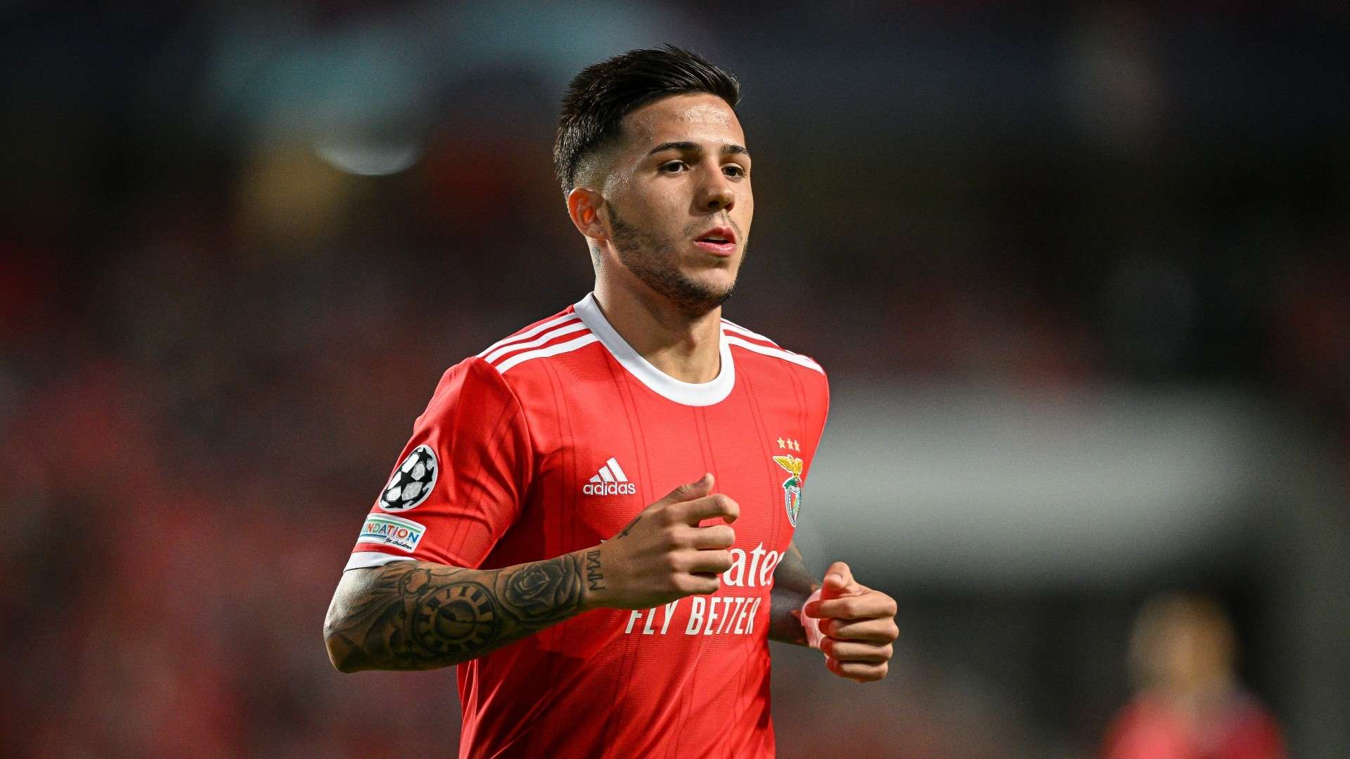 Enzo Fernandez Benfica 2022-23