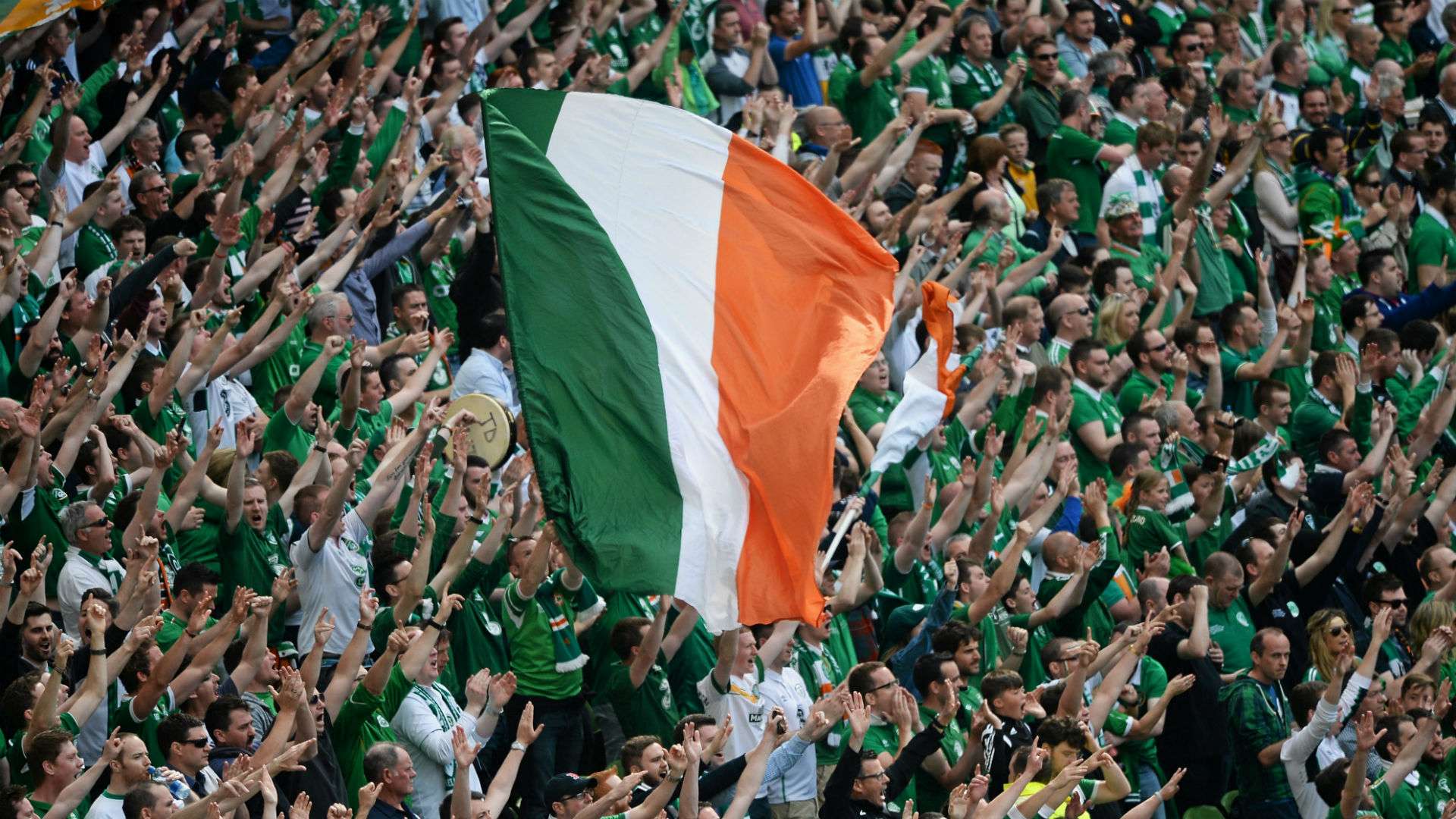 Republic of Ireland supporters and fans 13062015