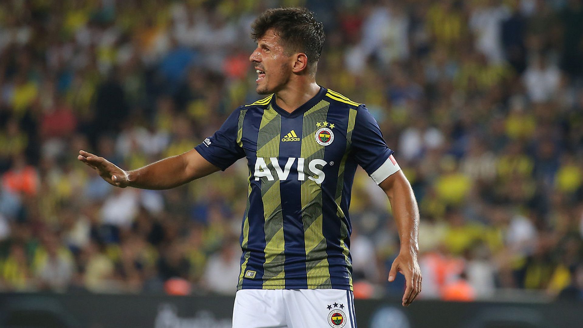 Emre Belozoglu Fenerbahce