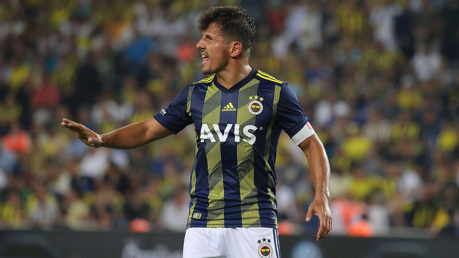 Emre Belozoglu Fenerbahce