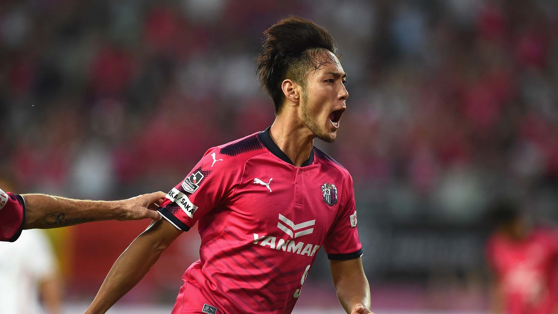 2017-07-22-cerezo-Sugimoto_Kenyu