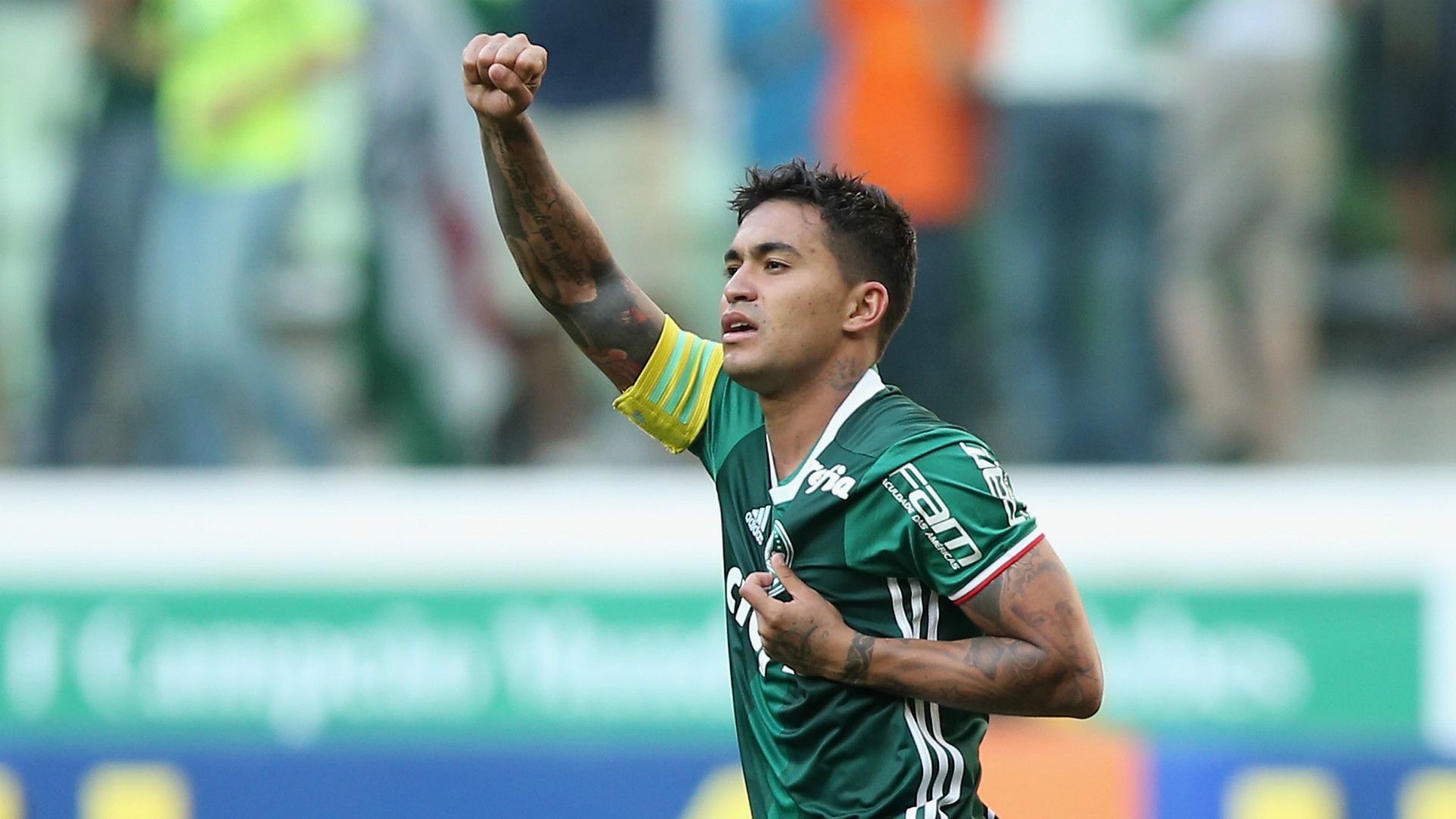 Dudu - Palmeiras x Botafogo - 20/11/2016