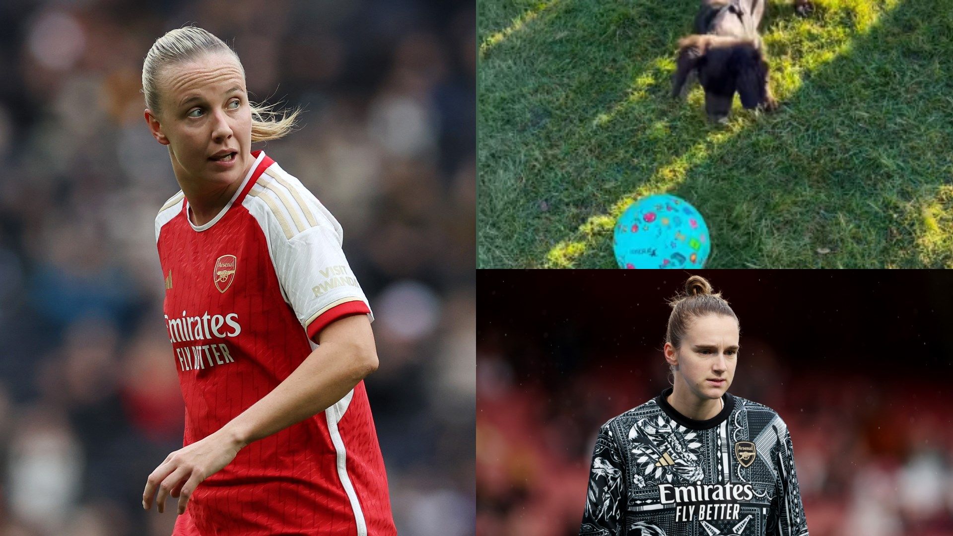 Mead-Miedema-Arsenal
