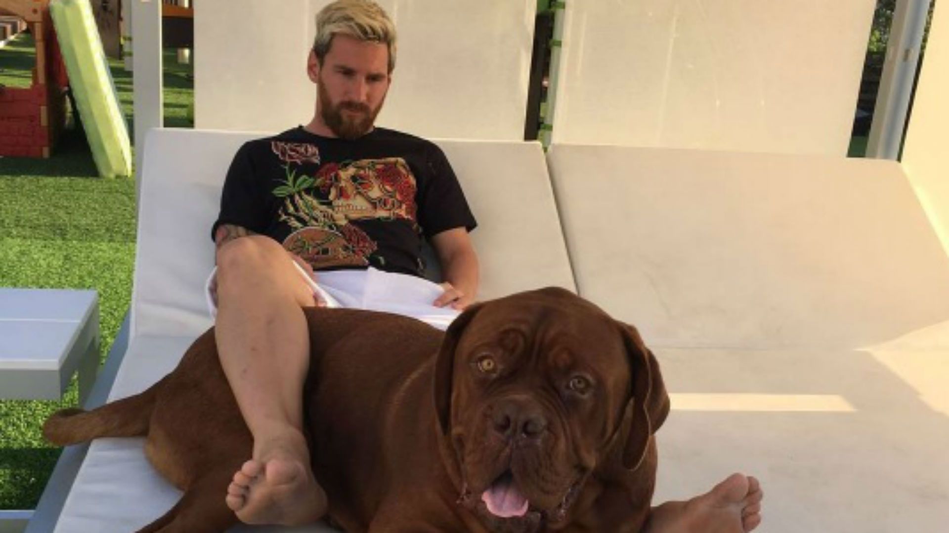 Lionel Messi  Perro - Hulk 07092016