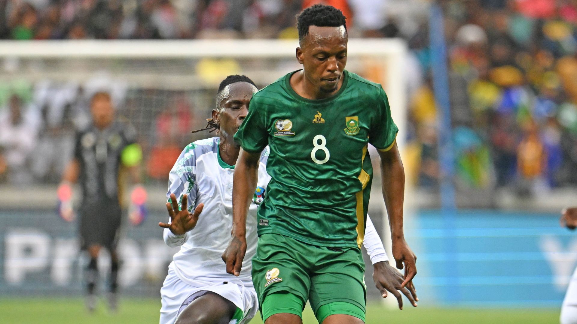 Patrick Maswanganyi, Bafana Bafana, November 2024