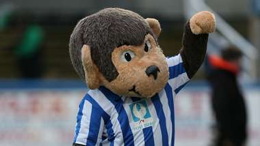 تميمة هارتلبول يونايتد