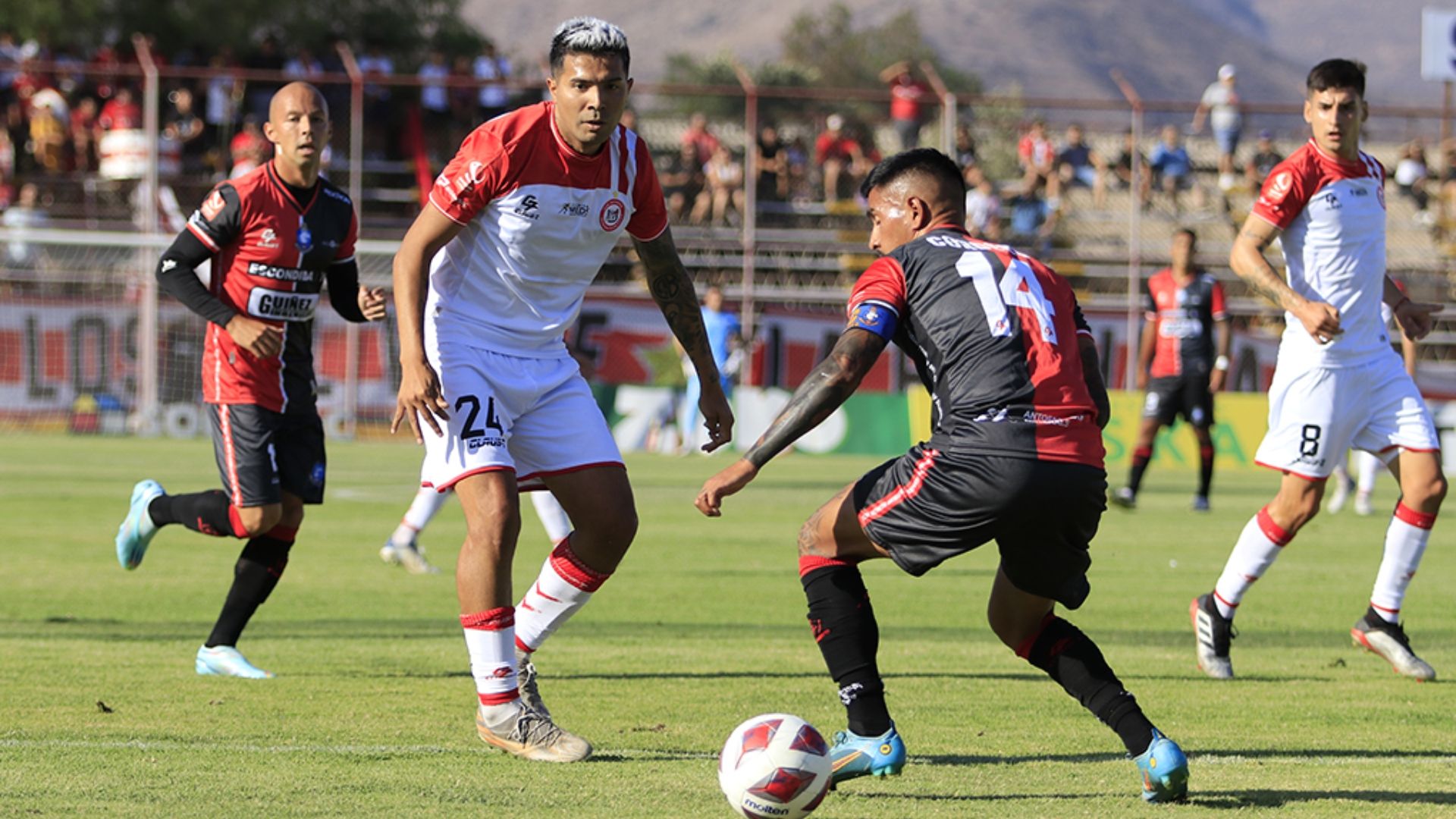 Antofagasta San Felipe