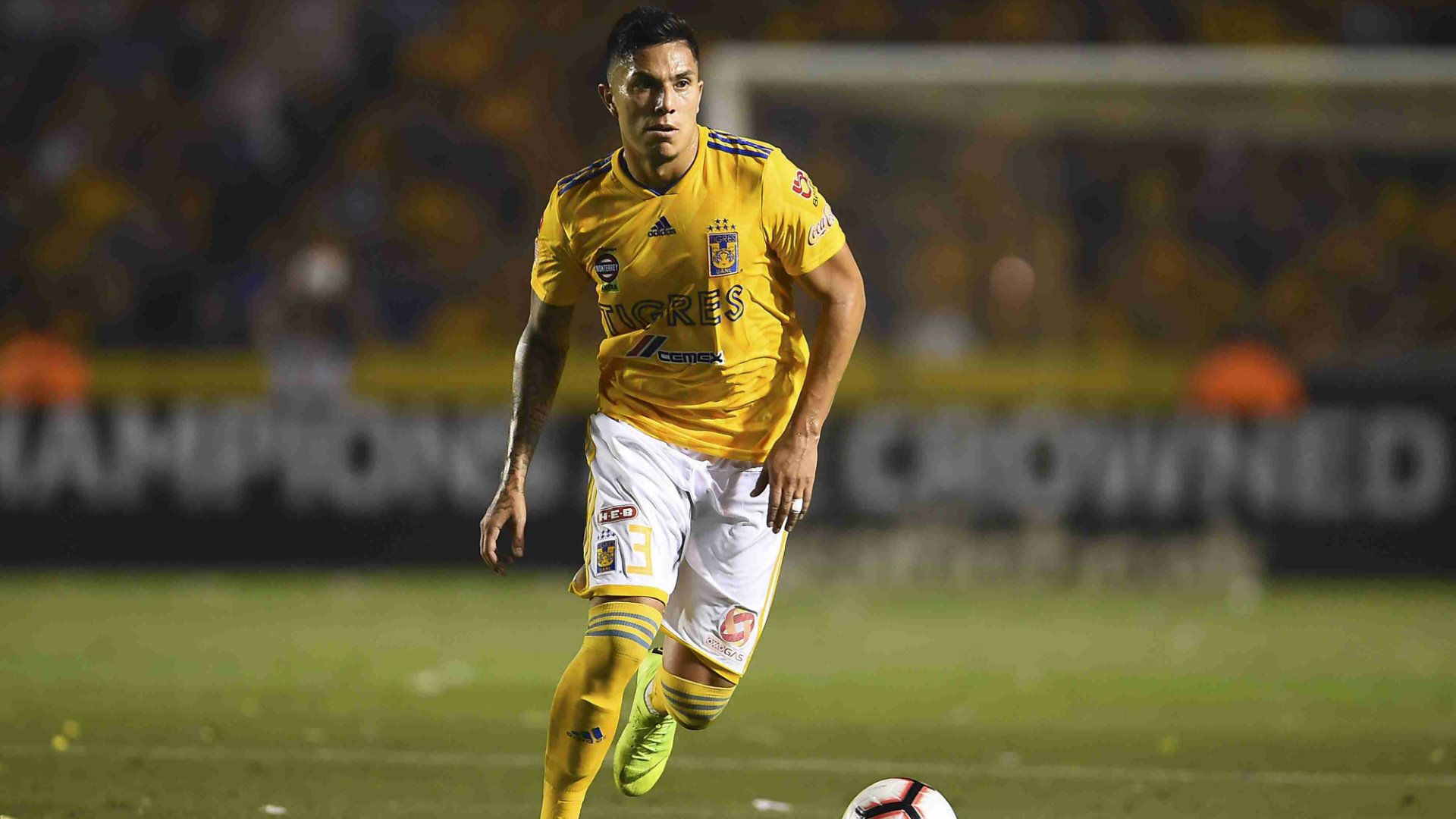 Carlos Salcedo Tigres