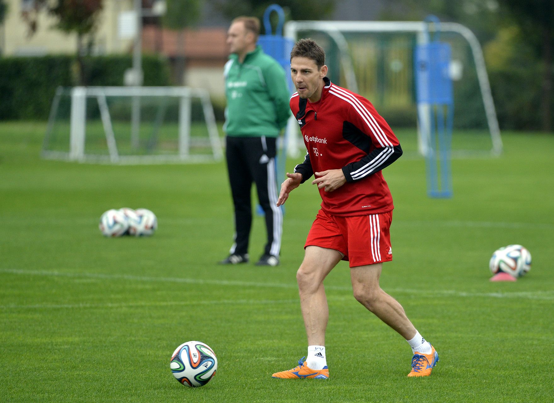 gera zoltán