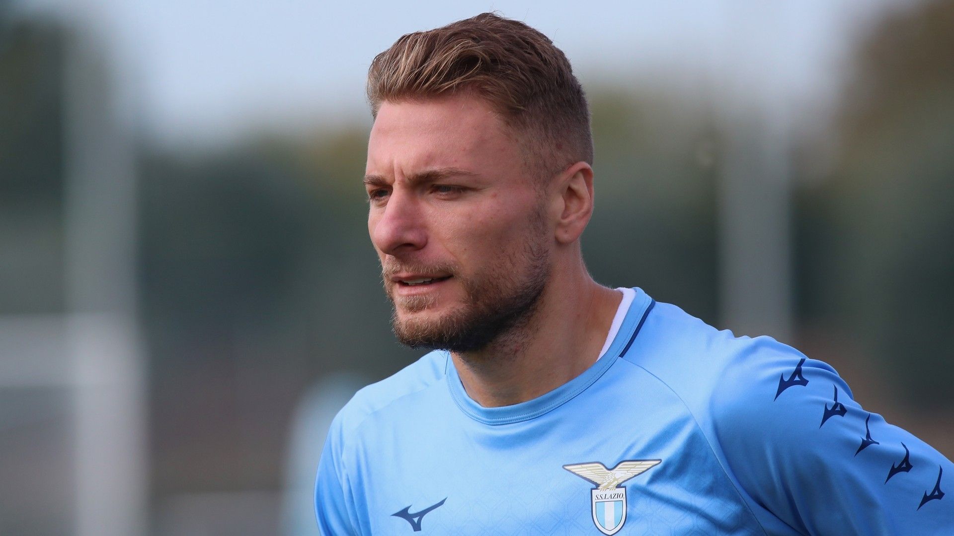 Immobile 2022