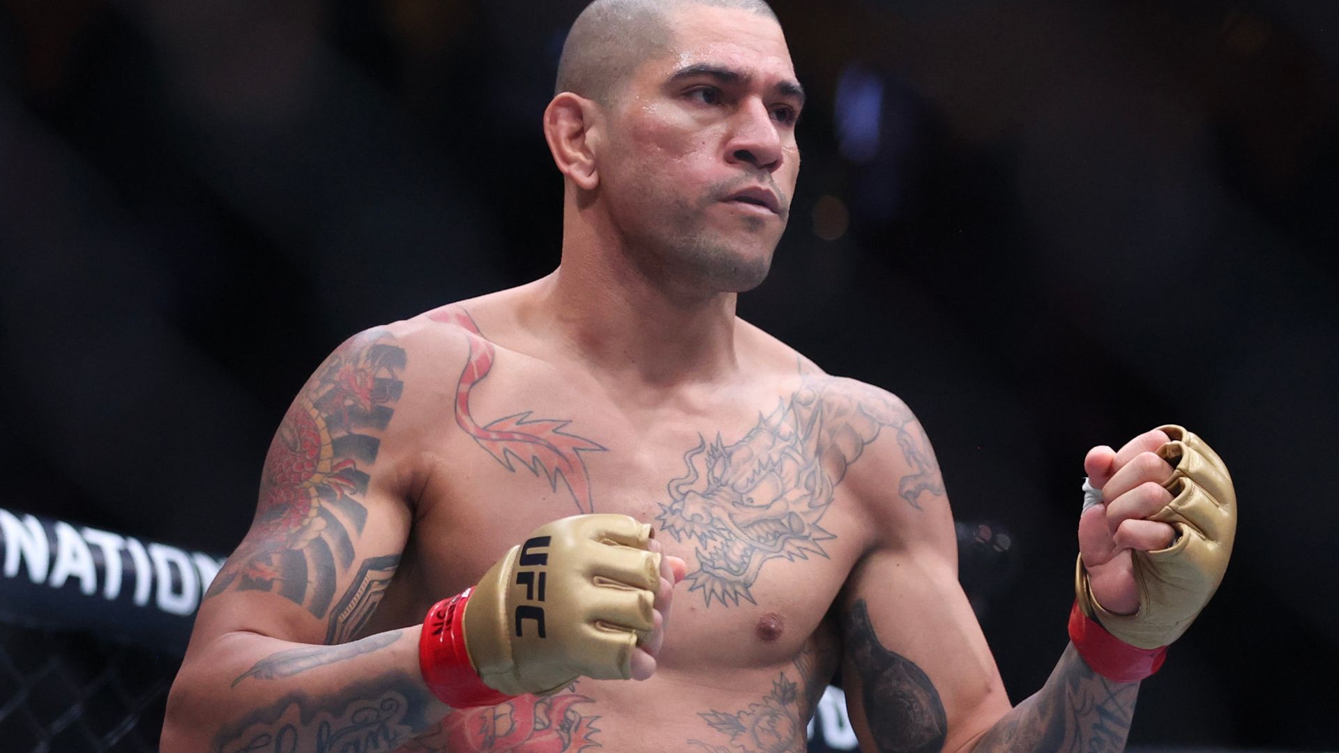 Alex Pereira Ankalaev UFC