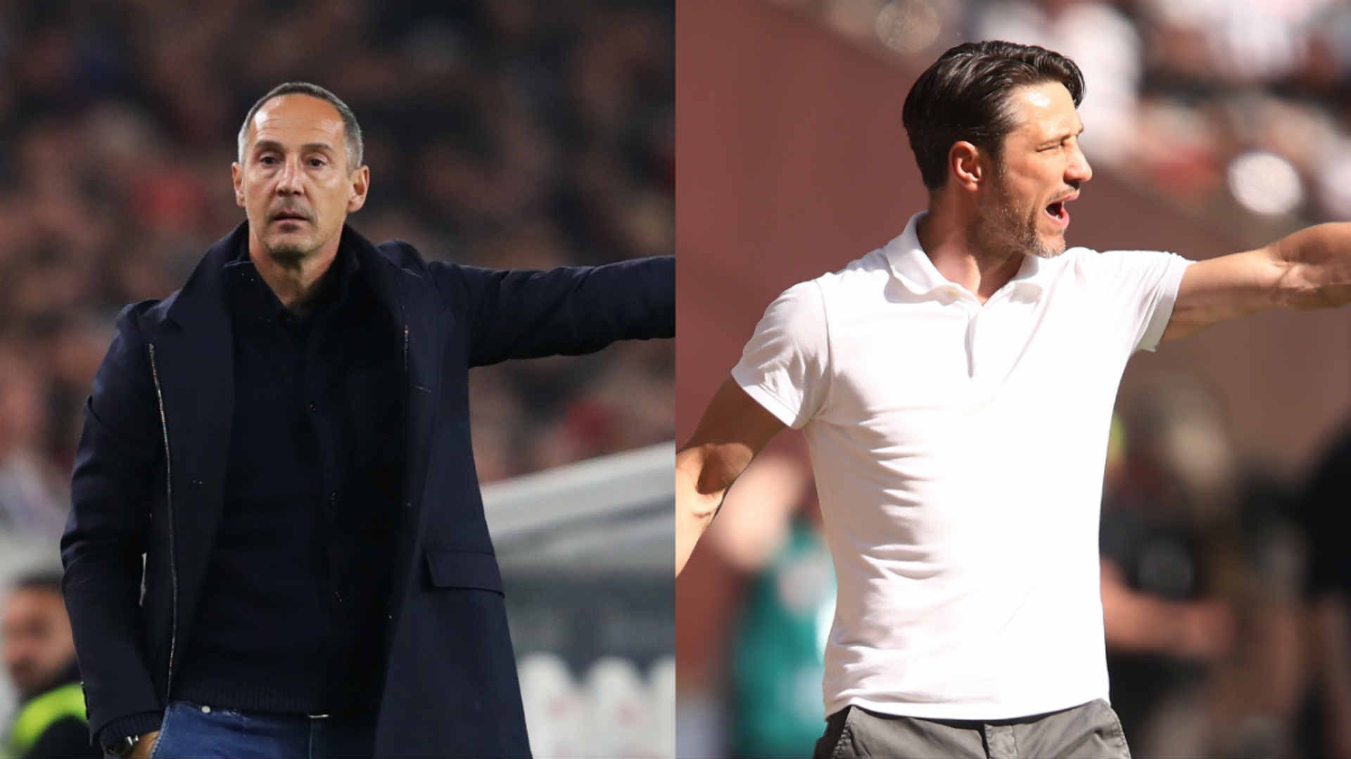 2019-01-08-hutter-kovac