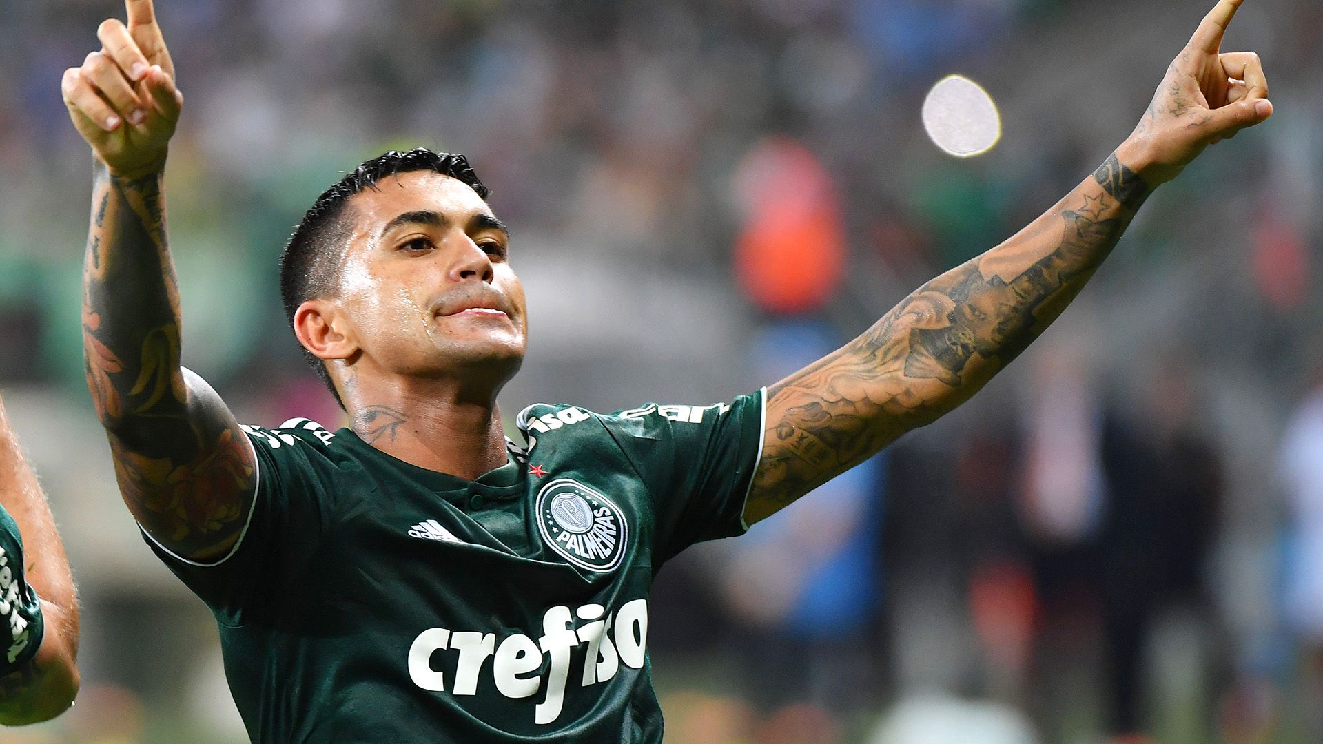 Dudu Palmeiras Colo Colo Copa Libertadores 03102018