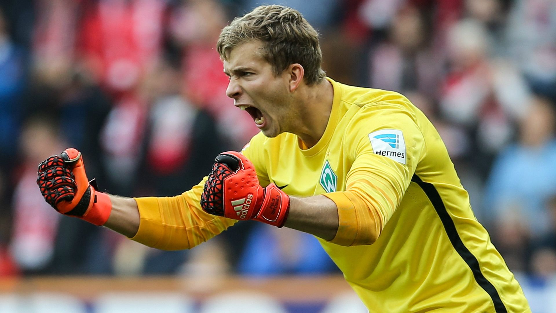 FELIX WIEDWALD WERDER BREMEN GERMAN BUNDESLIGA 24102015