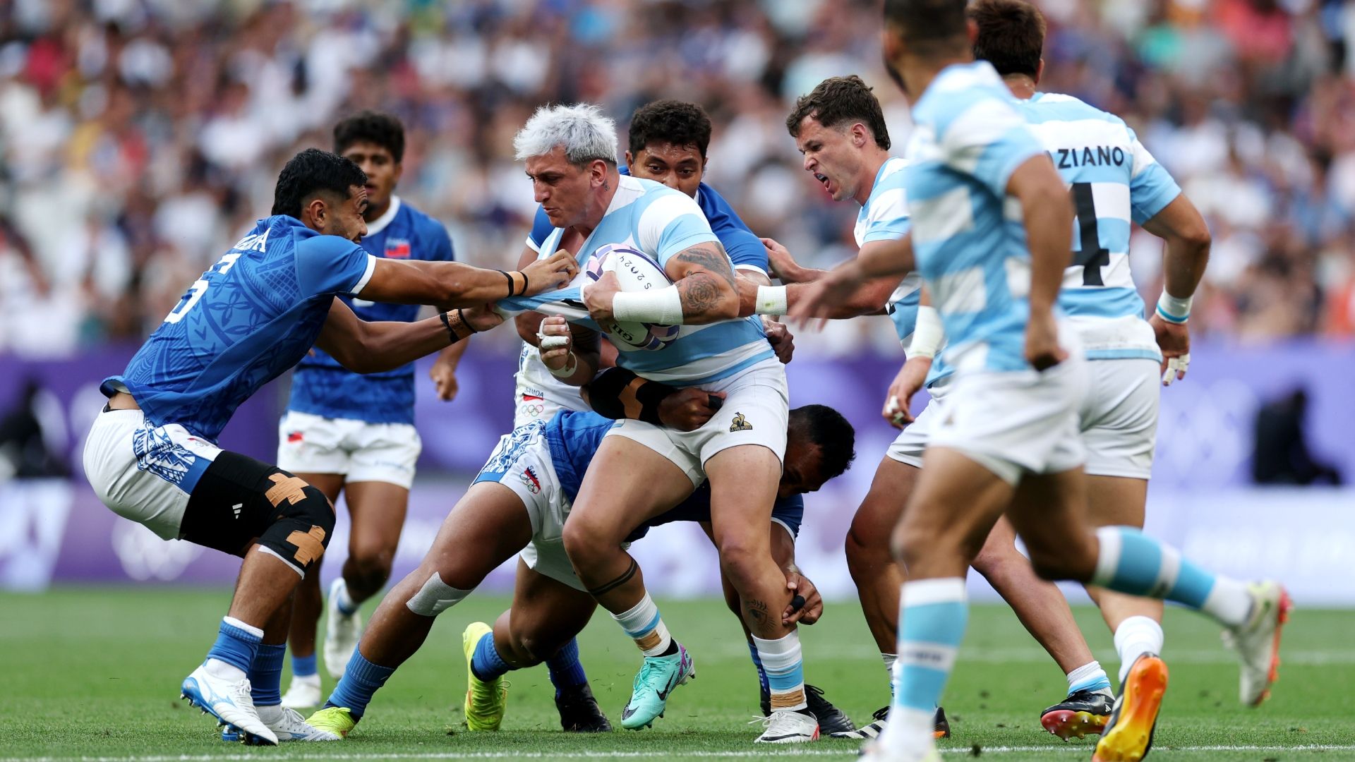 Argentina Samoa Rugby