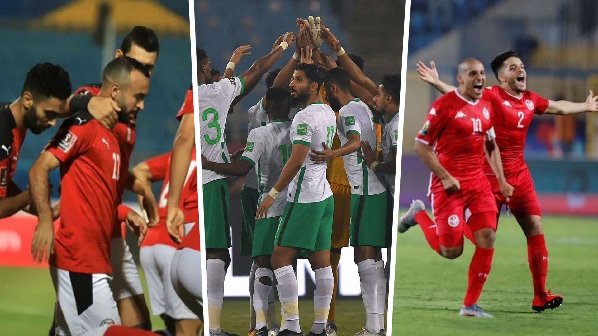 saudi arabia - egypt - tunisia السعودية - مصر - تونس