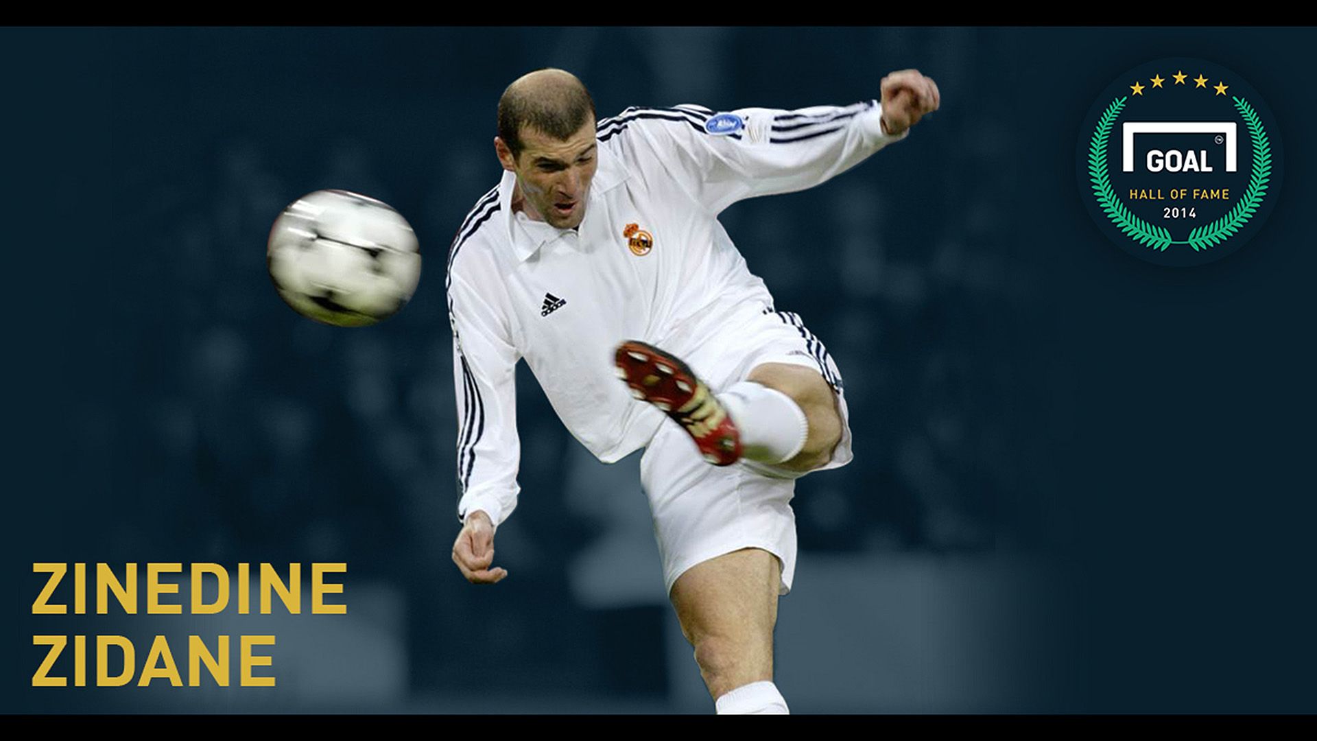 Goal Hall of Fame - Zinedine Zidane in pictures