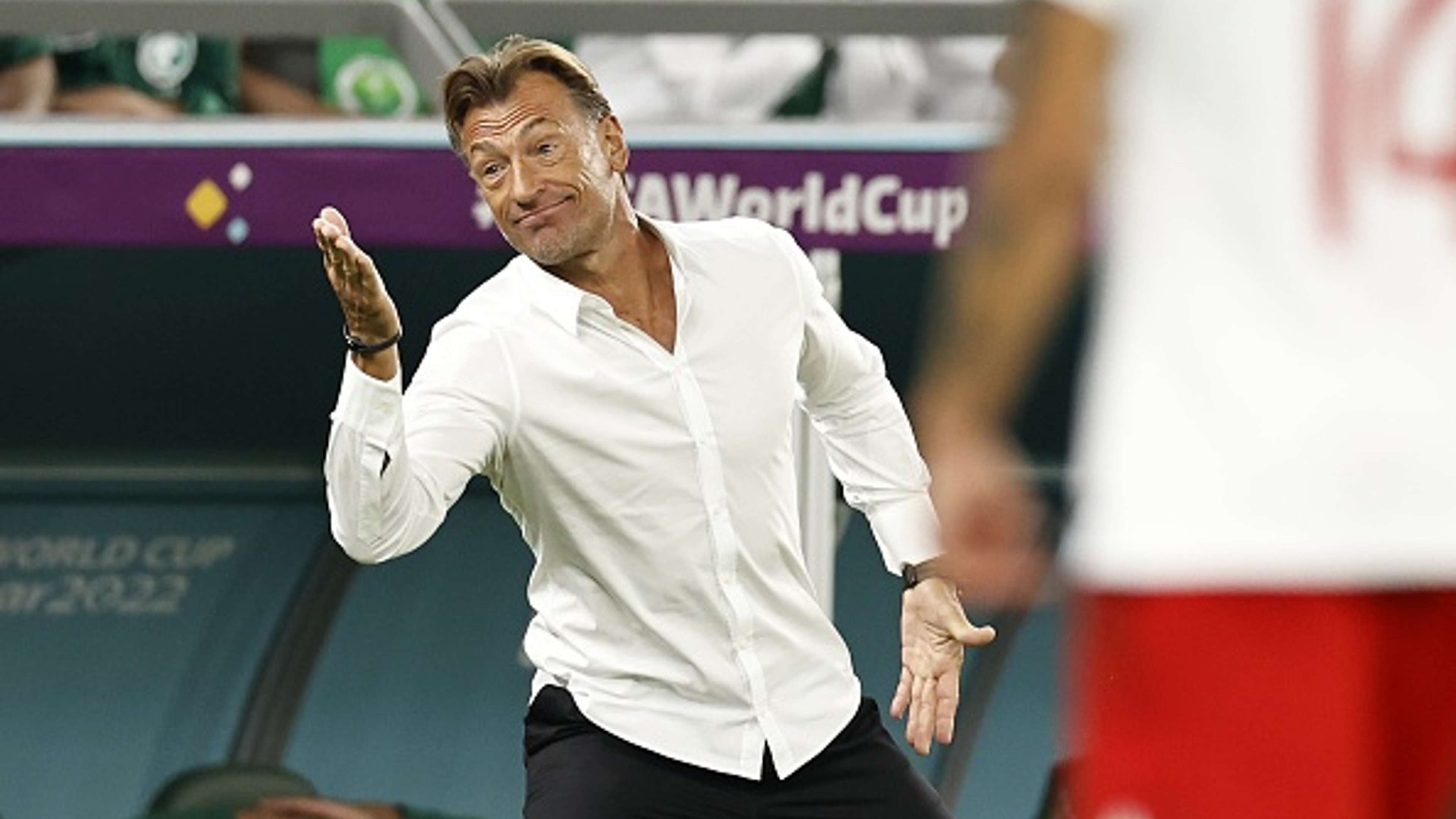 Herve Renard - saudi - world cup 2022