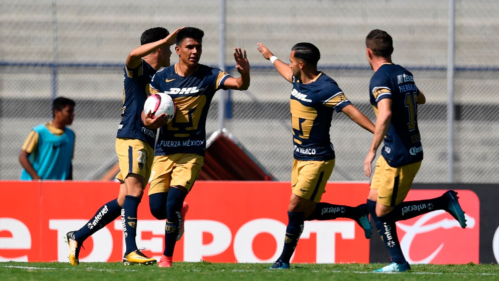 Pumas