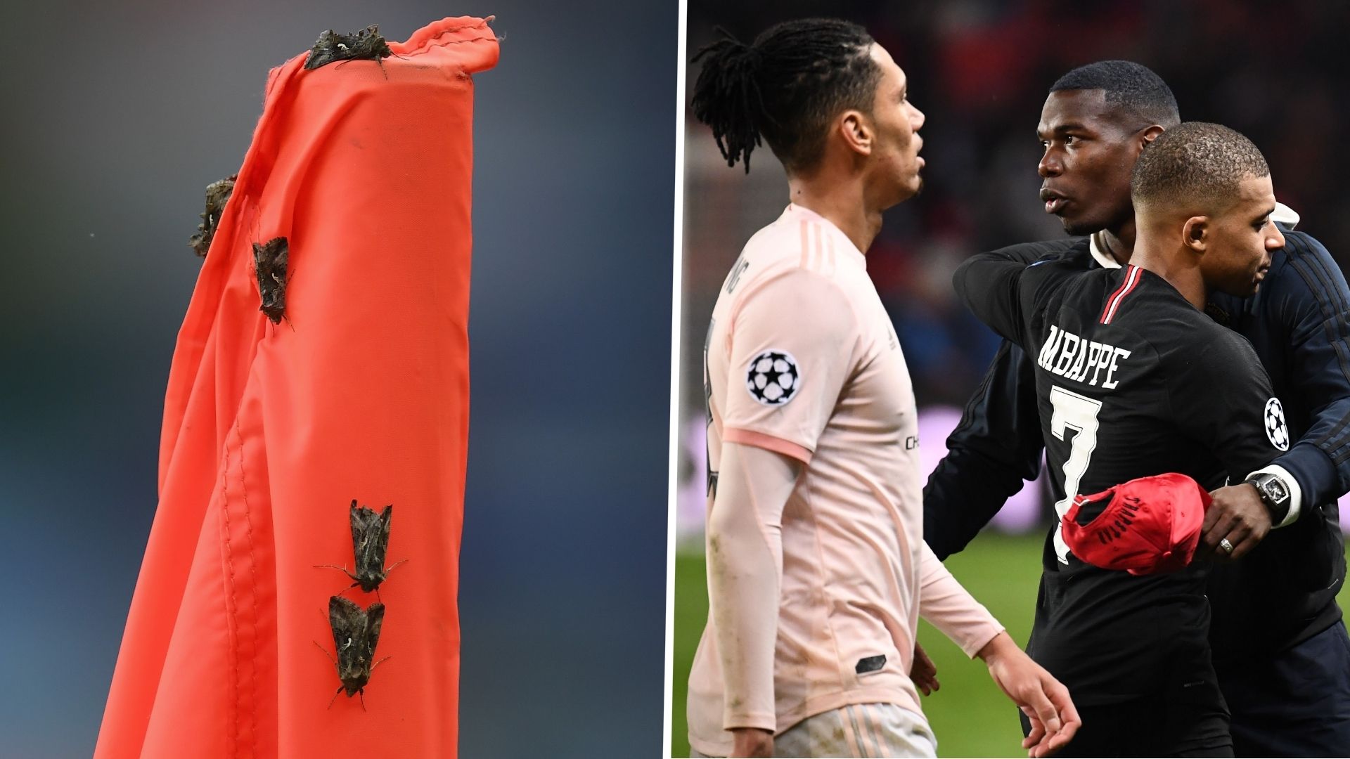 Paul Pogba Kylian Mbappe Butterflies
