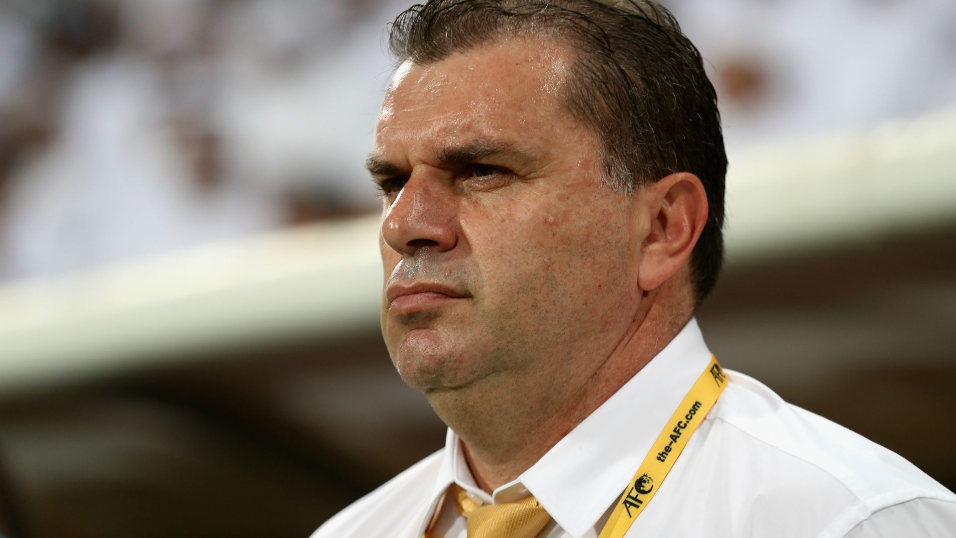 Ange Postecoglou United Arab Emirates v Australia World Cup qualifying 06092016