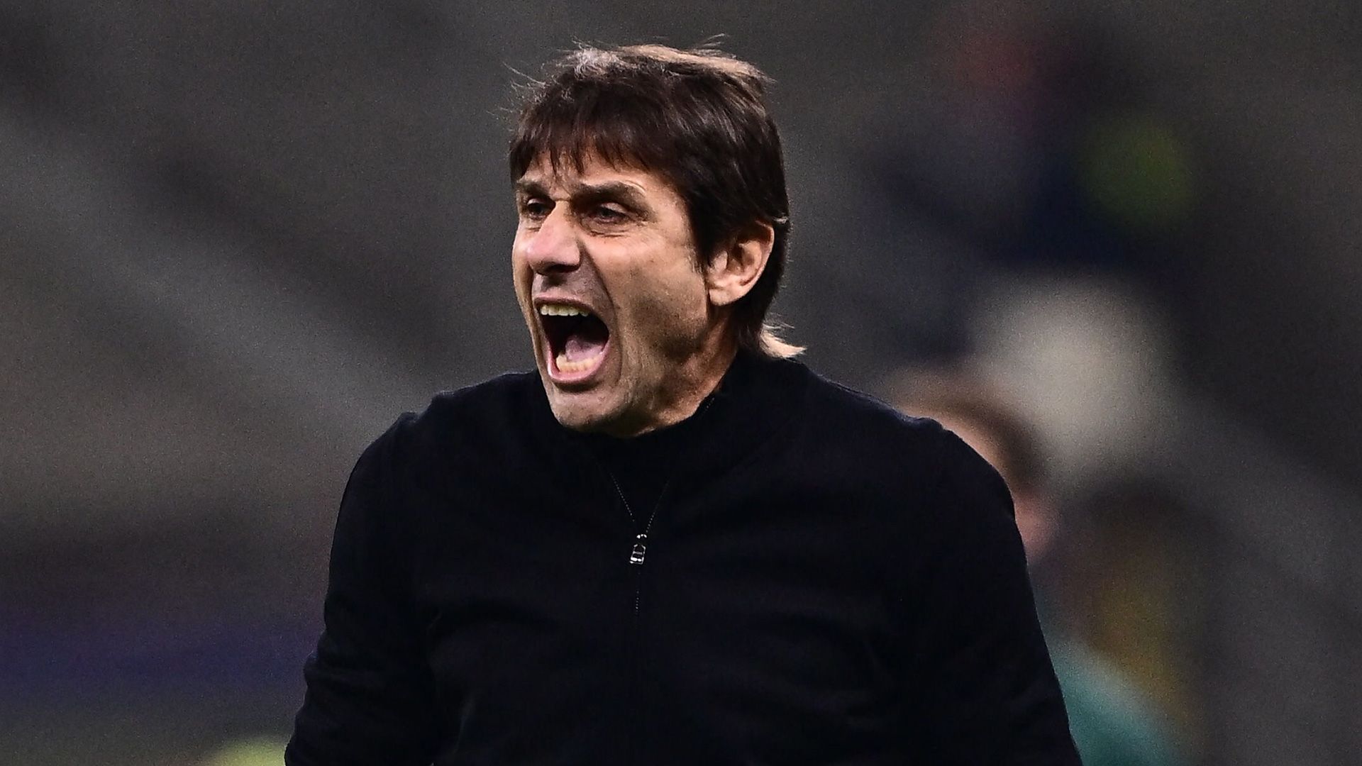 conte