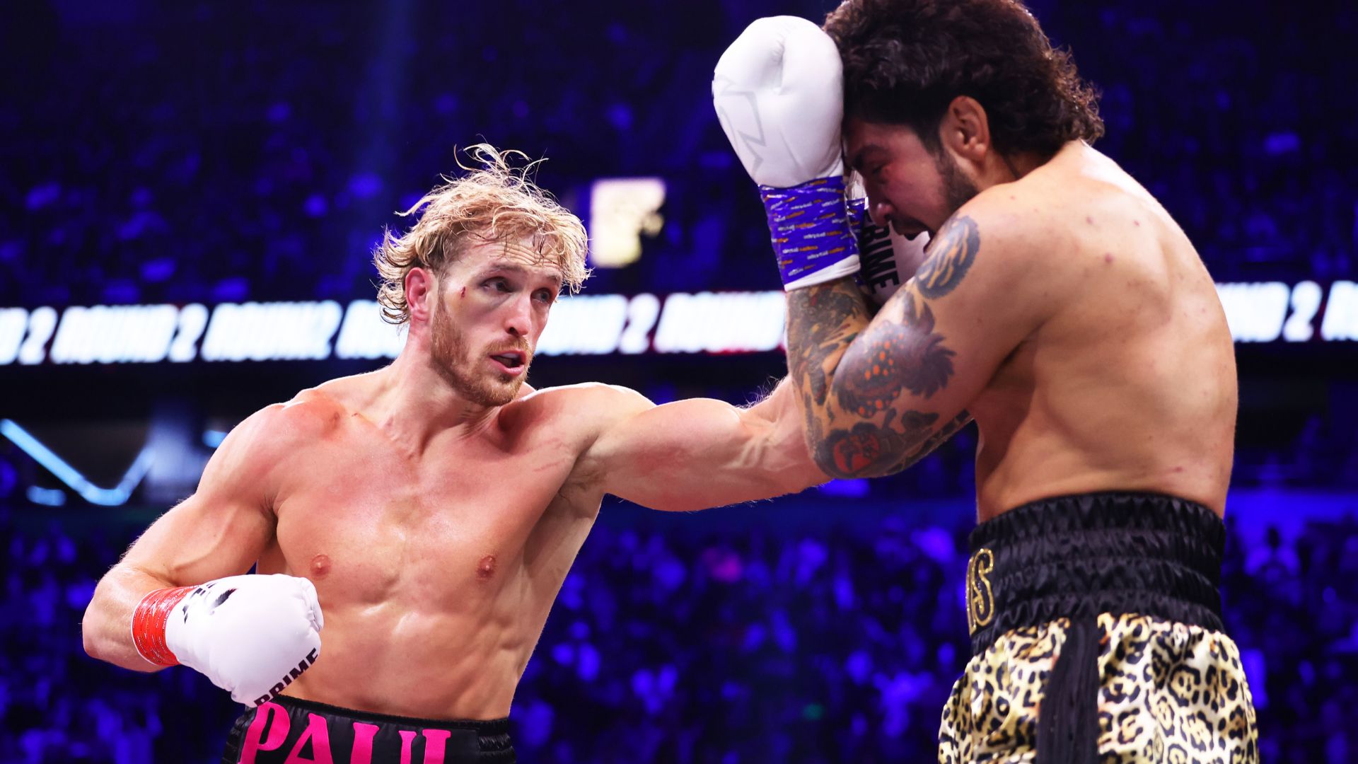 Logan Paul Dillon Danis