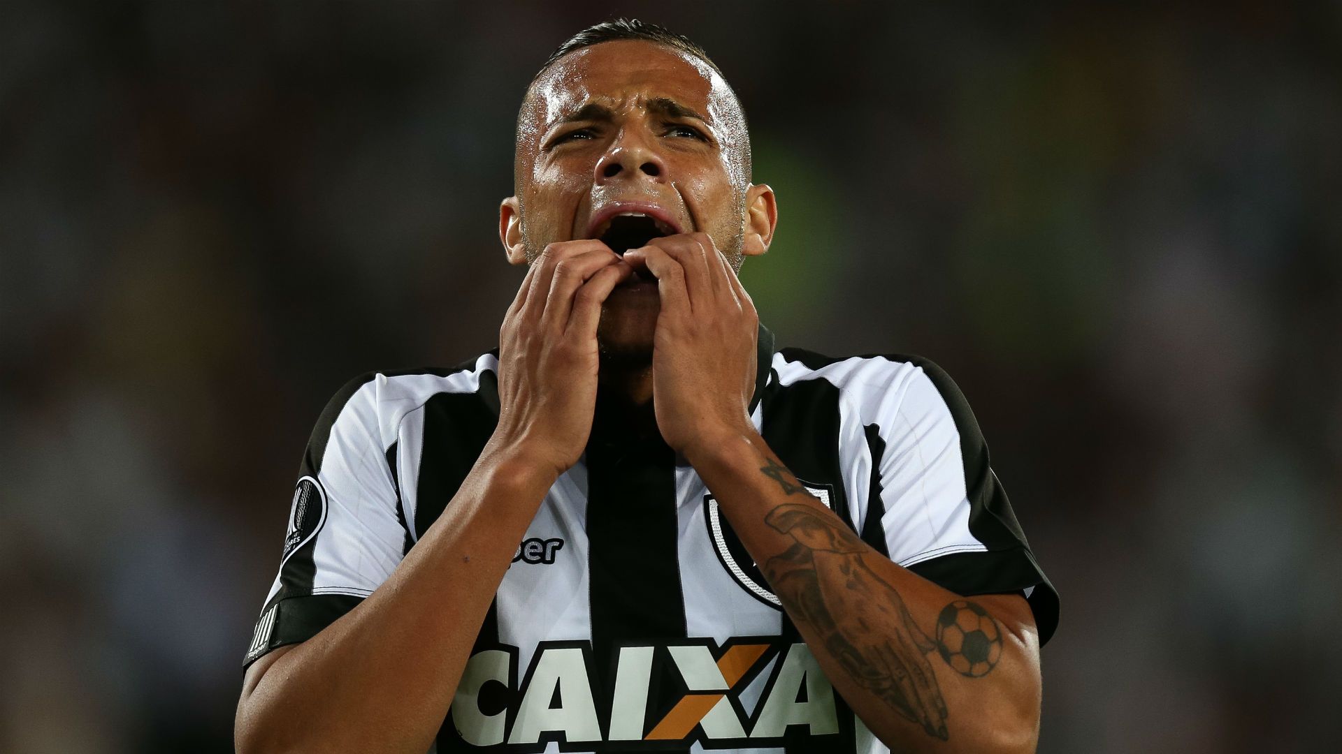 Guilherme Botafogo 24 05 2017