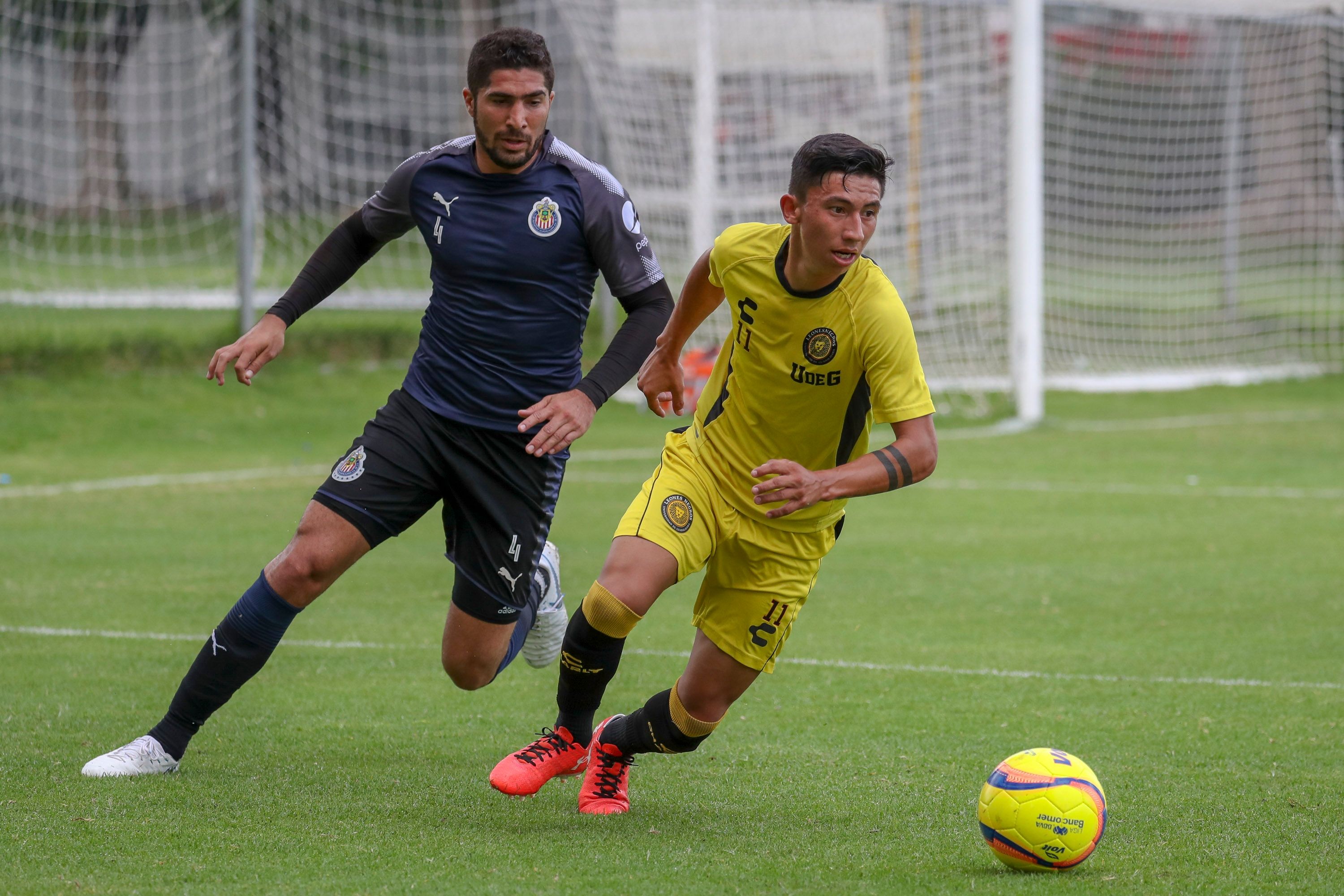 Chivas Leones Negros