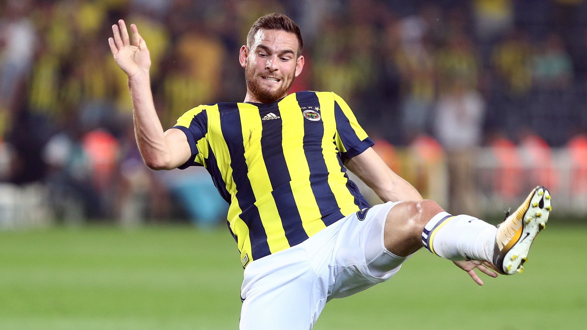 Vincent Janssen Fenerbahce