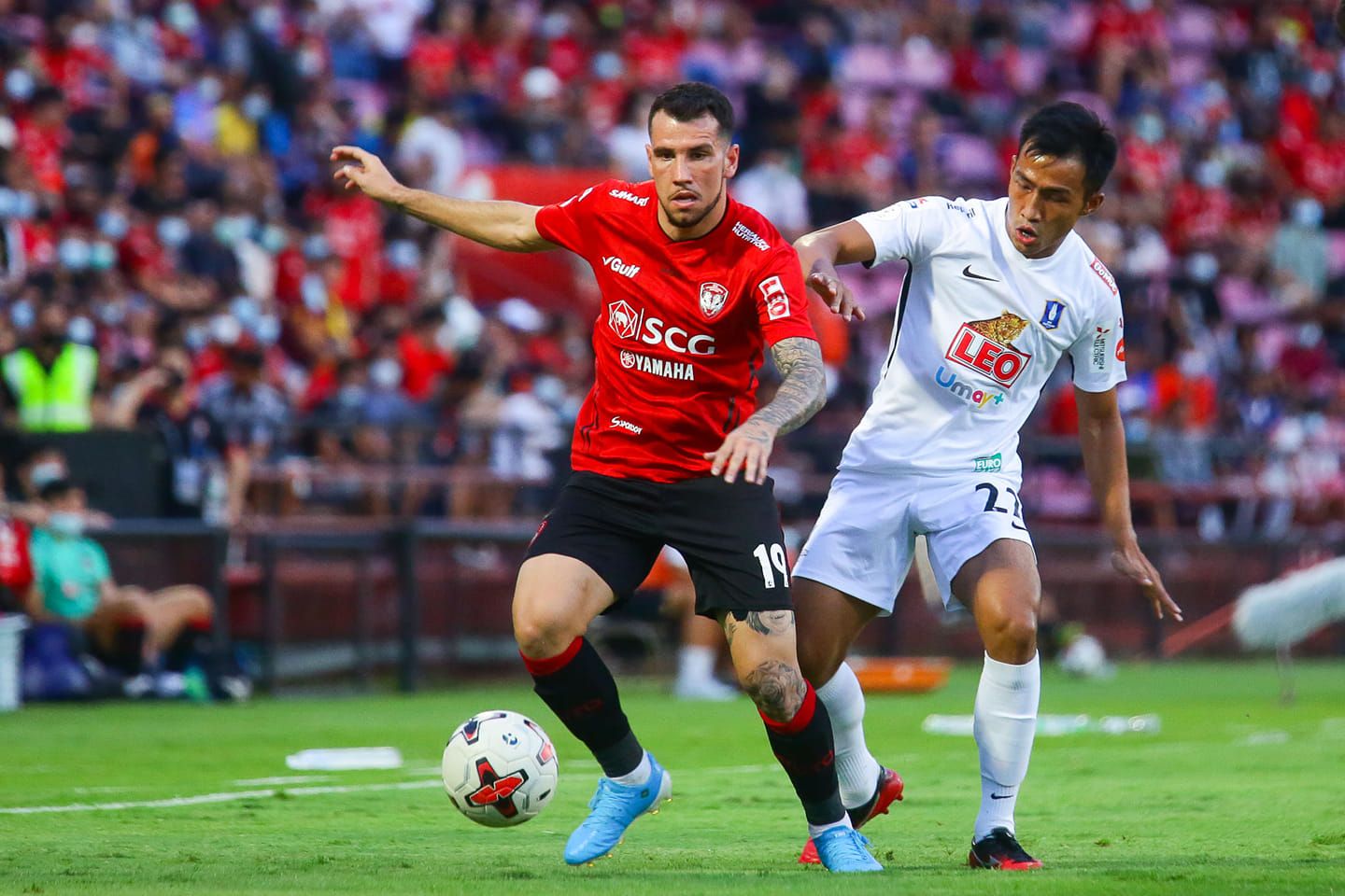 วิลเลียน ป็อปป์