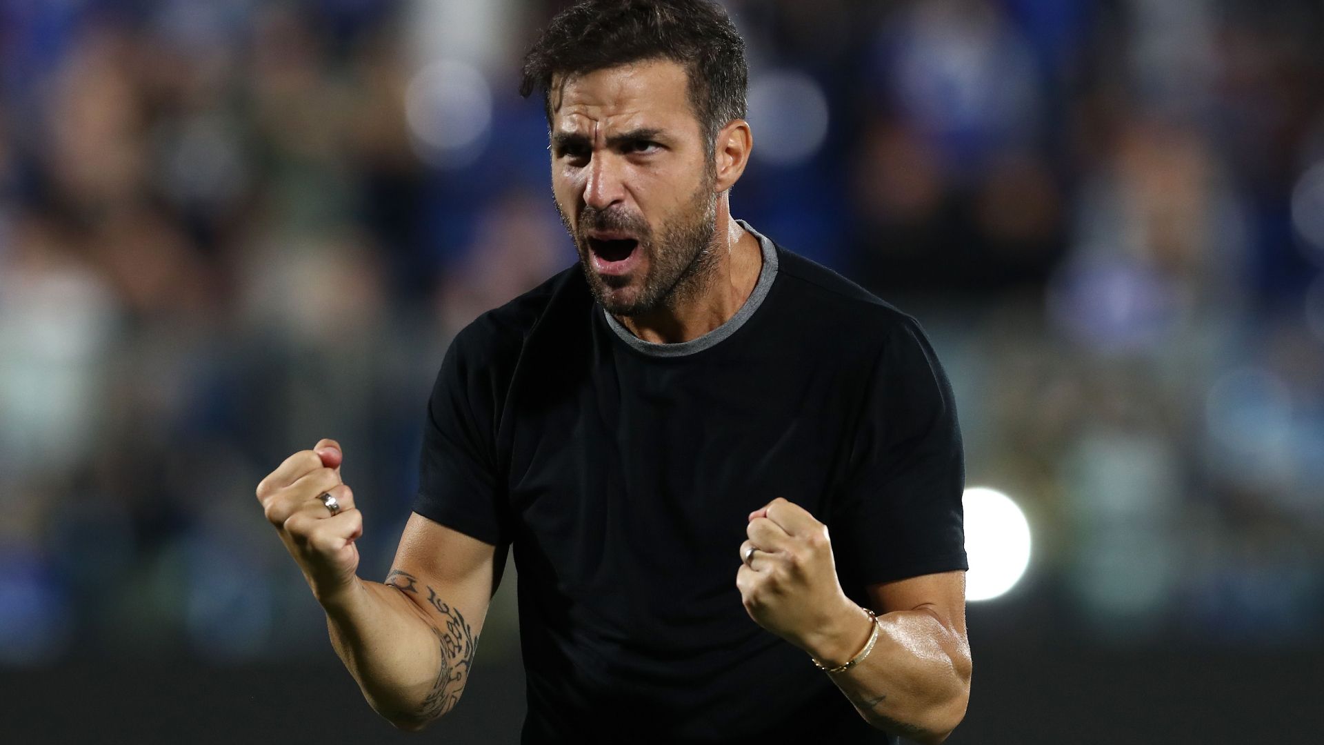 Fabregas Como Serie A