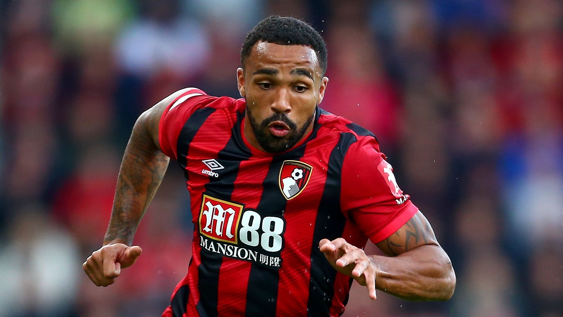 Callum Wilson, Bournemouth