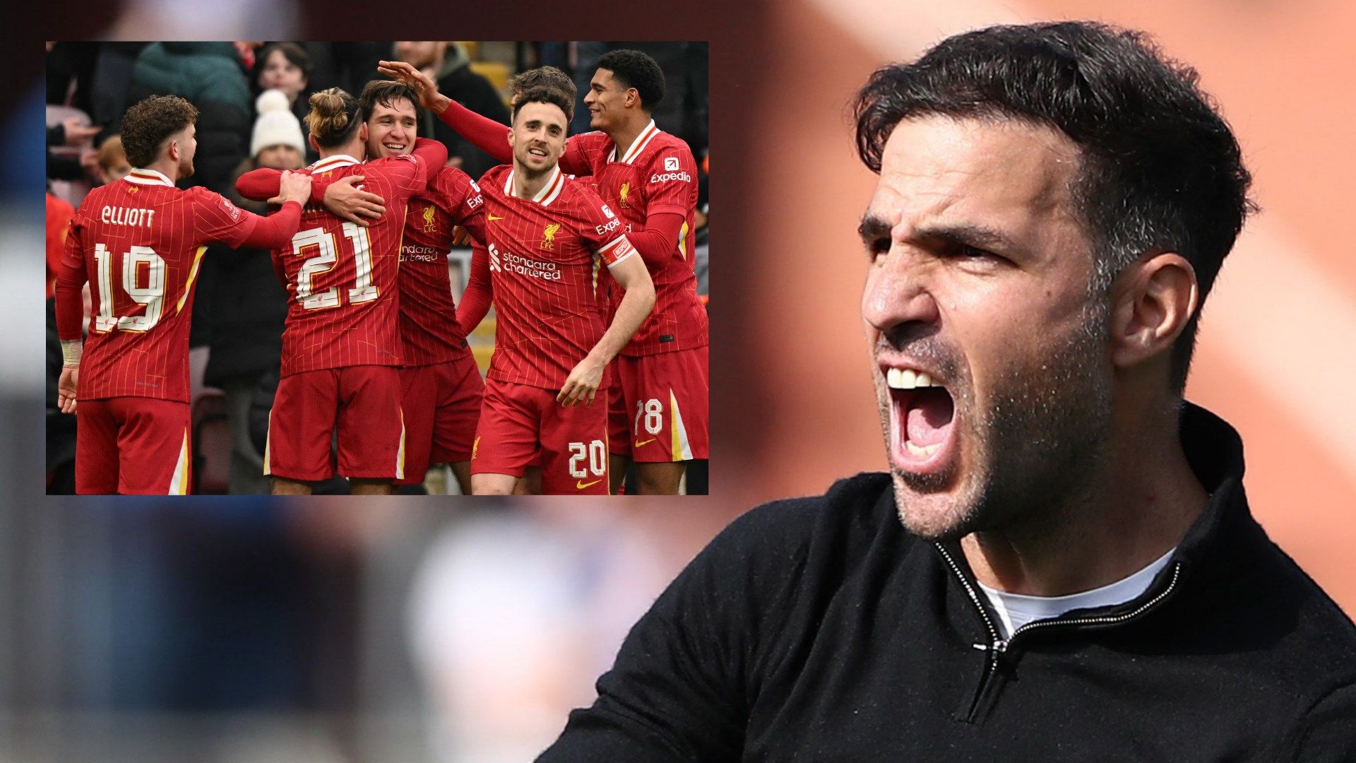 Cesc Fabregas Liverpool