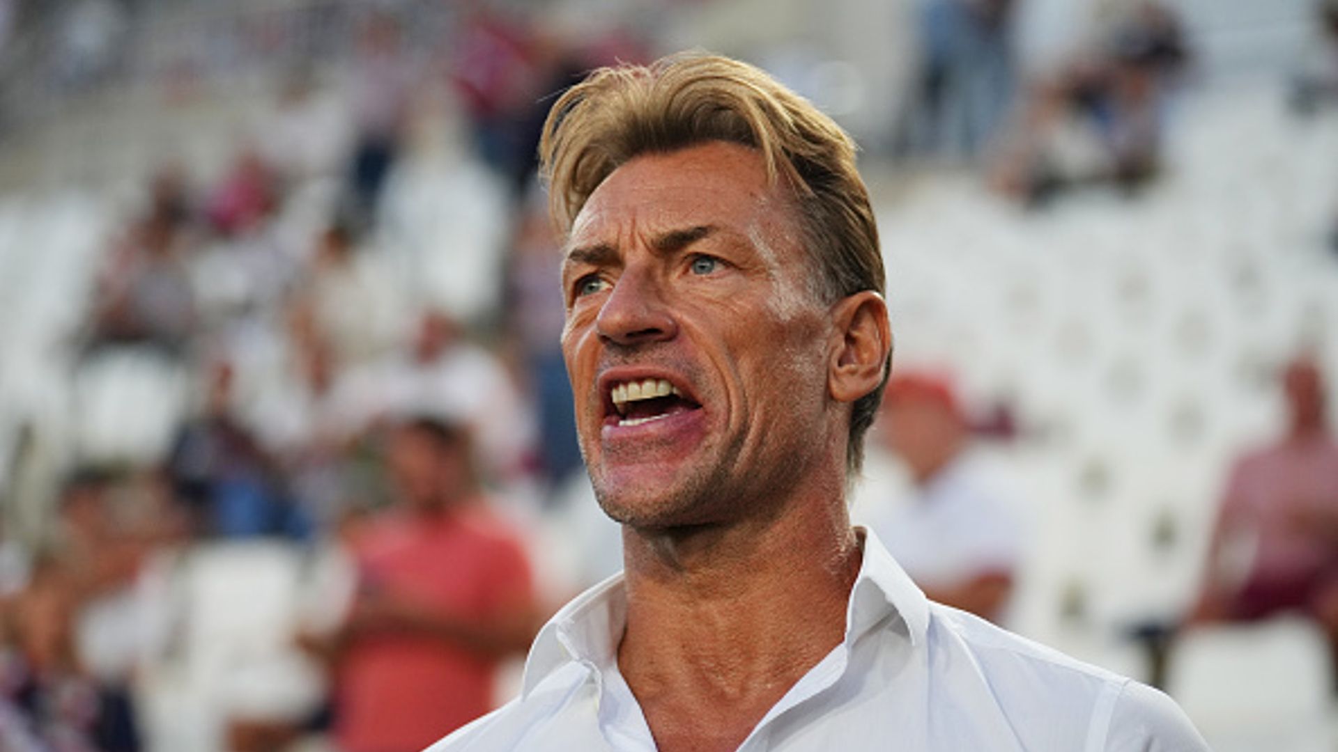 Herve Renard - saudi 2022