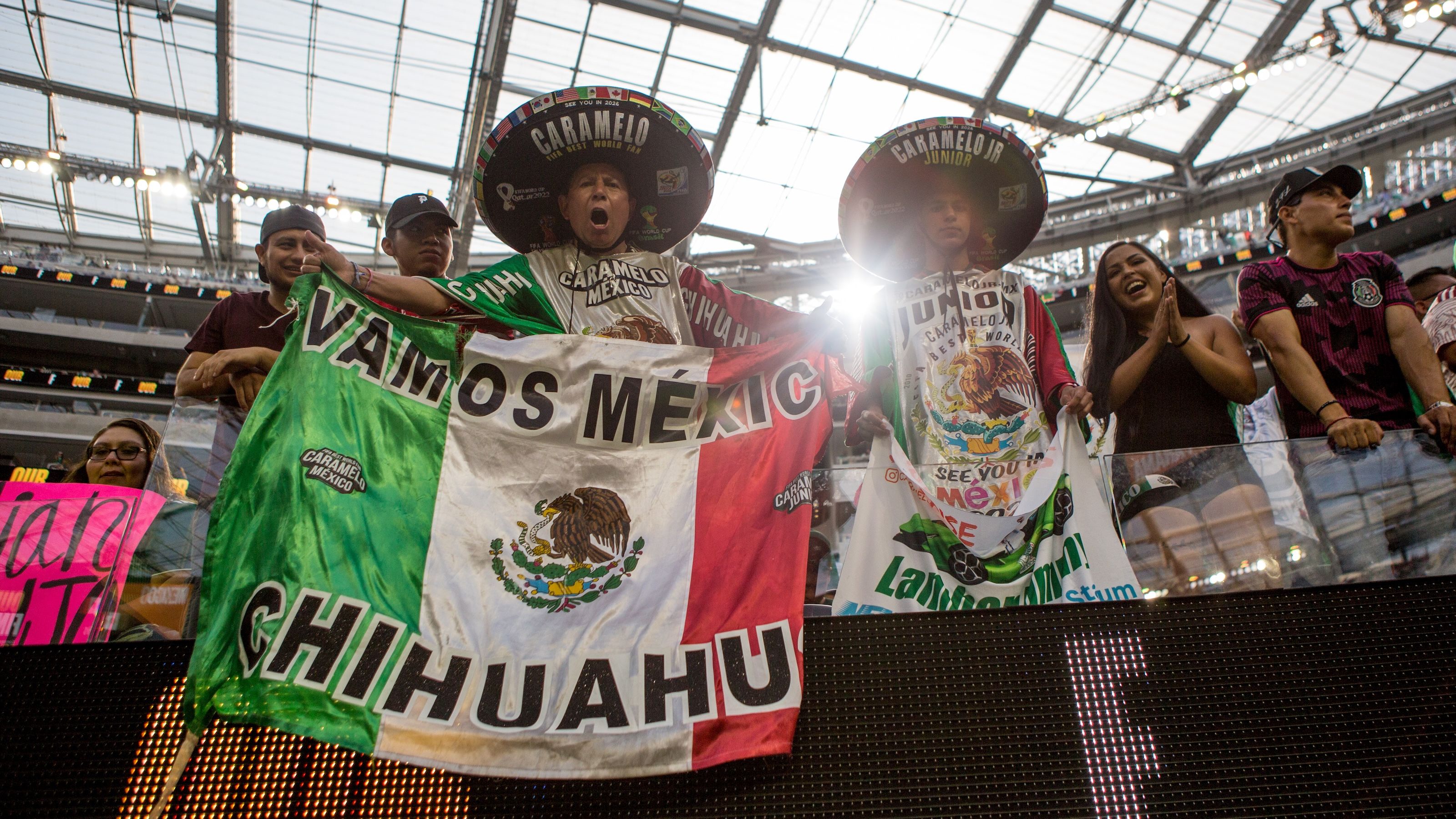 Mexico national team fans