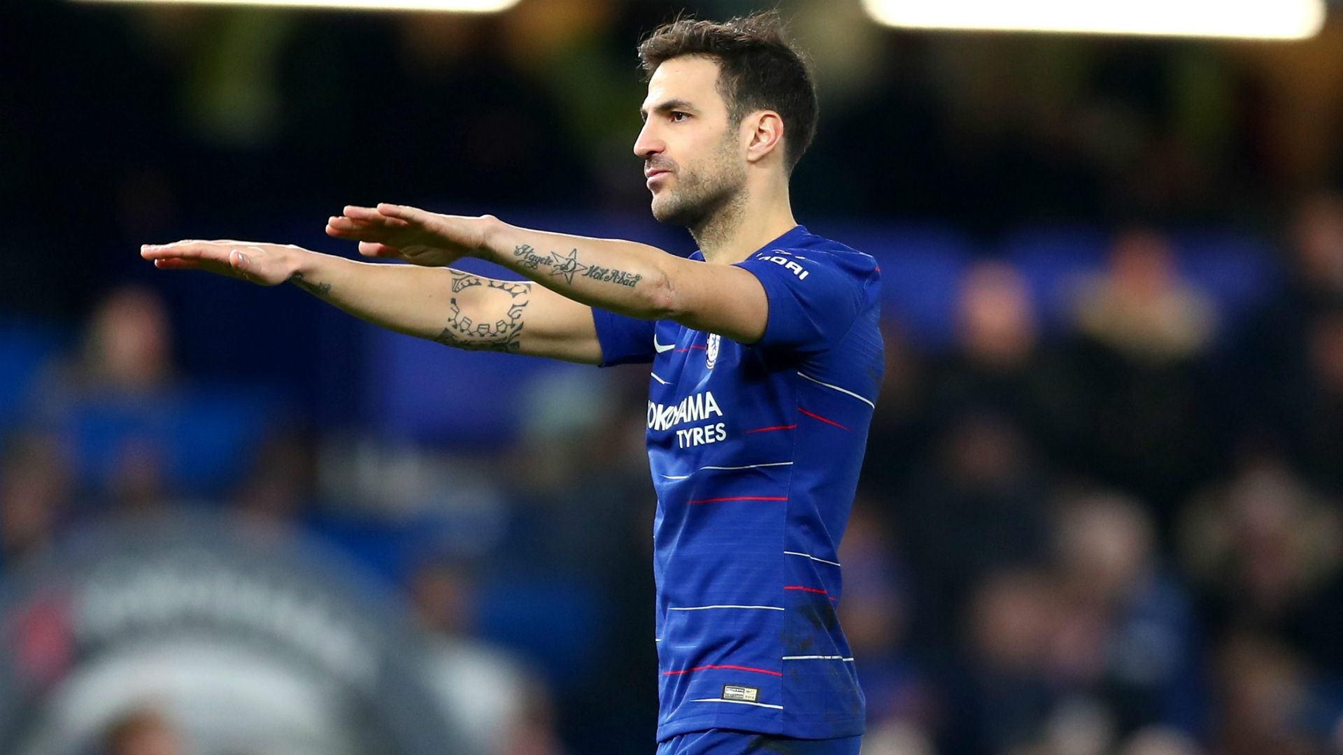 cesc fabregas - cropped