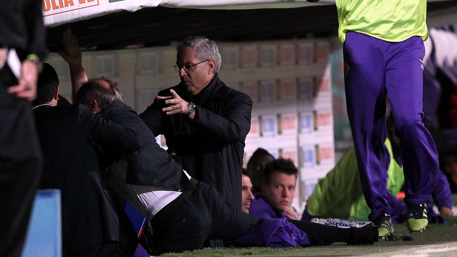 Delio Rossi Adem Ljajic